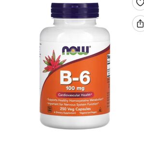 Now Foods B6 100mg 250粒