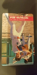  Calbee Professional Baseball card 92 year No.64. rice field .. Yakult 1992 year ④ ( for searching ) rare block Short block tent gram gold frame district version 
