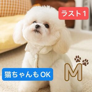 M 中型犬 犬服 犬用ダウン 猫 猫服 小型犬 犬用ダウンジャケット 白 ホワイト 犬首輪 クリーム色 犬 ペット おもちゃ