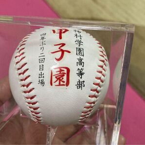 93回高校野球甲子園 神村学園出場記念ボールケース入り