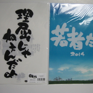 若者たち2014 クリアファイルセット ( A4クリアファイル 2枚 )　送料無料　未開封品