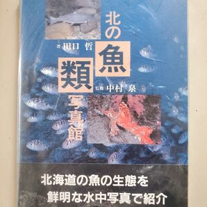 北の魚類写真館 北海道の魚の生態を鮮明な水中写真で紹介