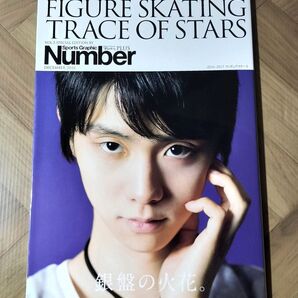 FIGURE SKATING TRACE OF STARS 2016-2017フィギュアスケート銀盤の火花。
