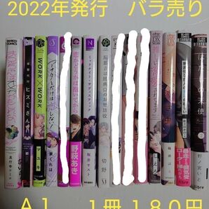 BLコミック バラ売り【A1】 1冊180円 (送料+手数料は別途) 2022年発行