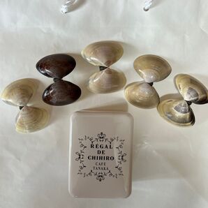 カフェ田中クッキー缶 蛤貝殻