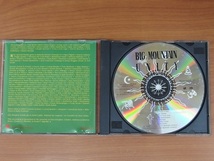 CD / BIG MOUNTAIN / UNITY / 中古_画像3