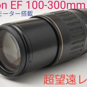 11月11日限定価格♪Canon EF 100-300mm USM