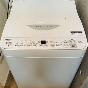 SHARP タテ型 洗濯乾燥機 自動槽洗い・乾燥機能つき ステンレス 穴なし槽 美品 カビ防止 一人暮らし 【9月末頃に発送】