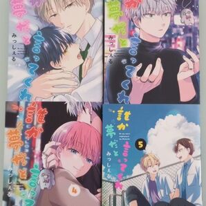 誰か夢だと言ってくれ まとめ売り