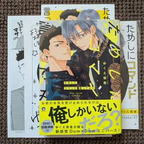 【中古BLコミック】ゆくえ萌葱*ためしにコマンド言ってみた(小冊子等付き)※即購入不可