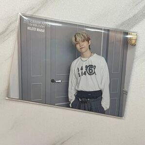 Mrs. GREEN APPLE 若井滉斗 フォトカード 17 The White Lounge