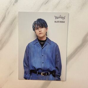 Mrs. GREEN APPLE 若井滉斗Harmony フォトカード 15