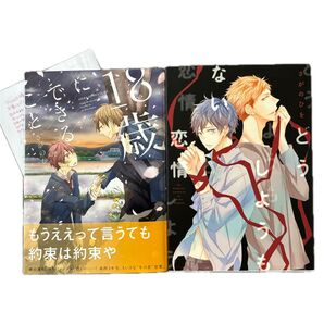 さがのひを 18歳にできること 特典ペーパー どうしようもない恋情 BLコミック ボーイズラブ BLコレクション