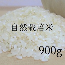 はるみ 900g　自然栽培米　無肥料　無農薬　令和3年度　天日干し　白米 アレルギー　離乳食_画像1