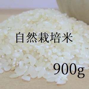 はるみ 900g　自然栽培米　無肥料　無農薬　令和3年度　天日干し　白米 アレルギー　離乳食