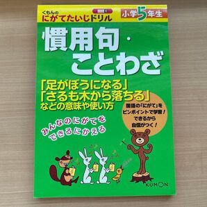 小学5年生慣用句ことわざ 「足がぼうになる」 「さるも木から落ちる」 などの意味や使い方
