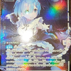 ユニオンアリーナ レム パラレル