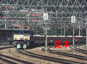 鉄道写真、645ネガデータ、112496140011、さようなら奥多摩石灰石列車、EF64-1015、JR青梅線、奥多摩駅構内、1998.08.13、（4591×3362）