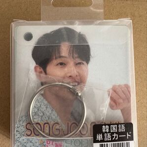 ソンジュンギ 韓国語 単語カード