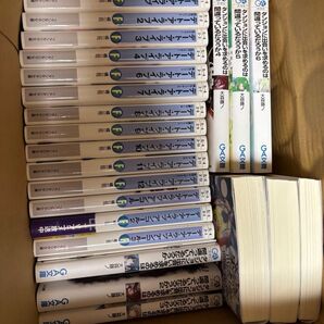 小説 まとめ売り