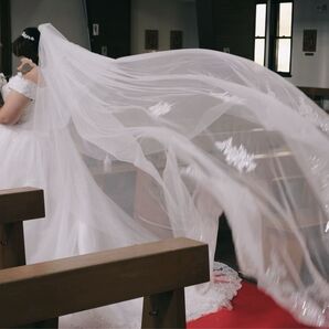 総額20万円!格安!ウエディングドレス(パニエ含)&ベール 大きいサイズ 10L相当 24号、25号、26号、27号、28号