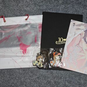 【C103】Ntype 新刊セット 溝口ケージ Ntype 青ブタ 10周年