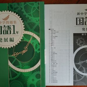 【最新版】 新品 新中学問題集 国語(発展)中1【解答付】