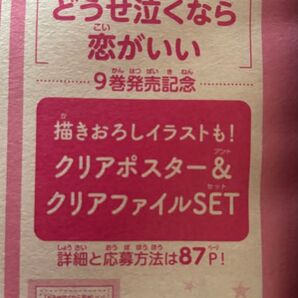 どうせ泣くなら恋がいい クリアポスター&クリアファイルセット応募券1枚