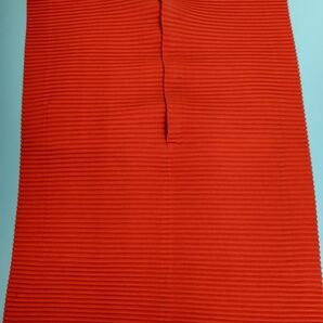 イッセイミヤケ ホライズンプリーツバッグ