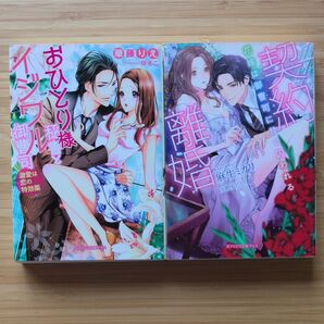 ガブリエラ文庫プラス 2冊セット