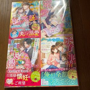 クールな外科医はママと息子を溺愛したくてたまらない 秘密の出産だったはずですが (ベリーズ文庫 な3-11) 夏雪なつめ/著