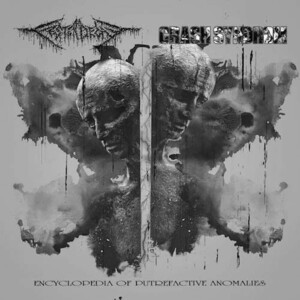 ＊新品特価CD FESTERDECAY：CRASH SYNDROM/split cd 2020年作品 福岡/東京グラインドコア KANDARIVAS BUTCHER ABC 死んだ細胞の塊