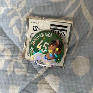 ホークス 缶バッジ