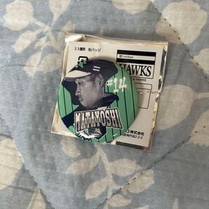 ホークス 缶バッジ