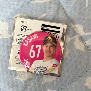 ホークス 缶バッジ