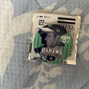 ホークス 缶バッジ