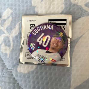 ホークス 缶バッジ