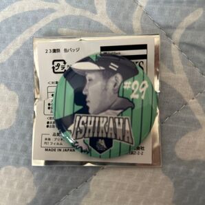 ホークス 缶バッジ