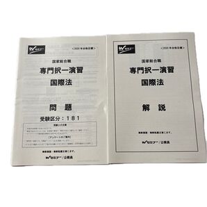 2020年 国家総合職 専門択一演習 国際法 問題と解説 未使用品