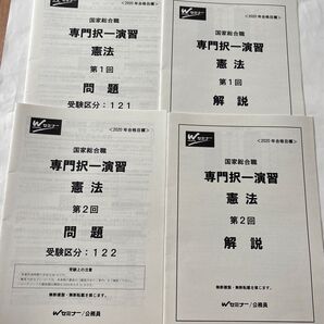 2020年 国家総合職 専門択一演習 憲法 問題と解説 未使用品