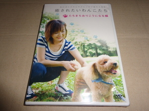 #新品DVD 癒されたいわんこたち たちまちおりこうになる編 [DVD] 松江香史子 d014