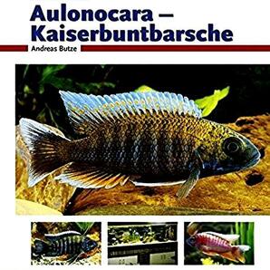 アウロノカラ マラウイ アフリカン シクリッド 洋書 図鑑 Aulonocara-Kaiserbuntbarsch Malawi Cichlids AQUA Andreas Butze bede lhrHobby