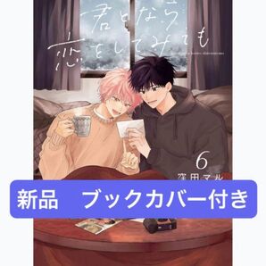 君となら恋をしてみても 小冊子付き 未開封 新品