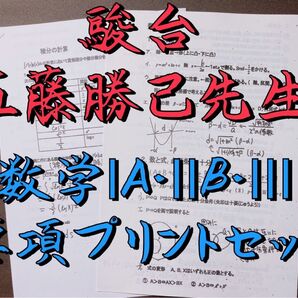 駿台 数学科 五藤勝己 数学【全範囲】要項プリント 駿台 河合塾 鉄緑会 代ゼミ Z会 ベネッセ SEG 共通テスト センター試験