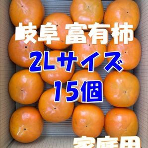 岐阜県産 富有柿 2Lサイズ15個(家庭用) ※11月中旬頃発送予定