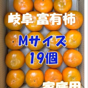岐阜県産 富有柿 Mサイズ19個(家庭用)※11月中旬以降発送