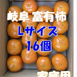 岐阜県産 富有柿 Lサイズ16個(家庭用)※11月中旬頃発送予定