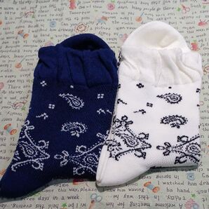 2足組♪綿混ペイズリー柄ソックス(23~25)