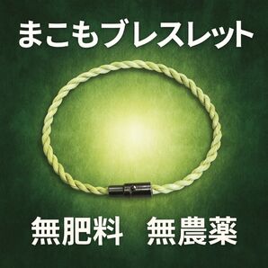 天然マコモ使用 編み込みブレスレット 縁結び開運 無肥料 無農薬 ミサンガ メンズ