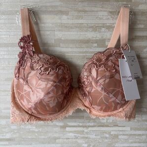 E80」トリンプ プレミアム レッドレーベル 長生蘭の花 ブラジャー